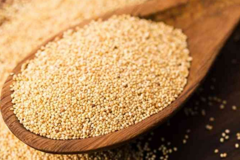 Khas Khas For Skin: स्किन को साफ और चमकदार बनाने के लिए ऐसे करें खसखस का इस्तेमाल, जानें फायदे
