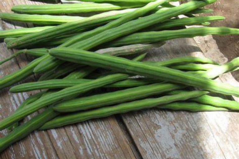 Benefits Of Drumstick: सेहत का खजाना है इस सब्जी में, डायबिटीज से लेकर हृदय के लिए है फायदेमंद