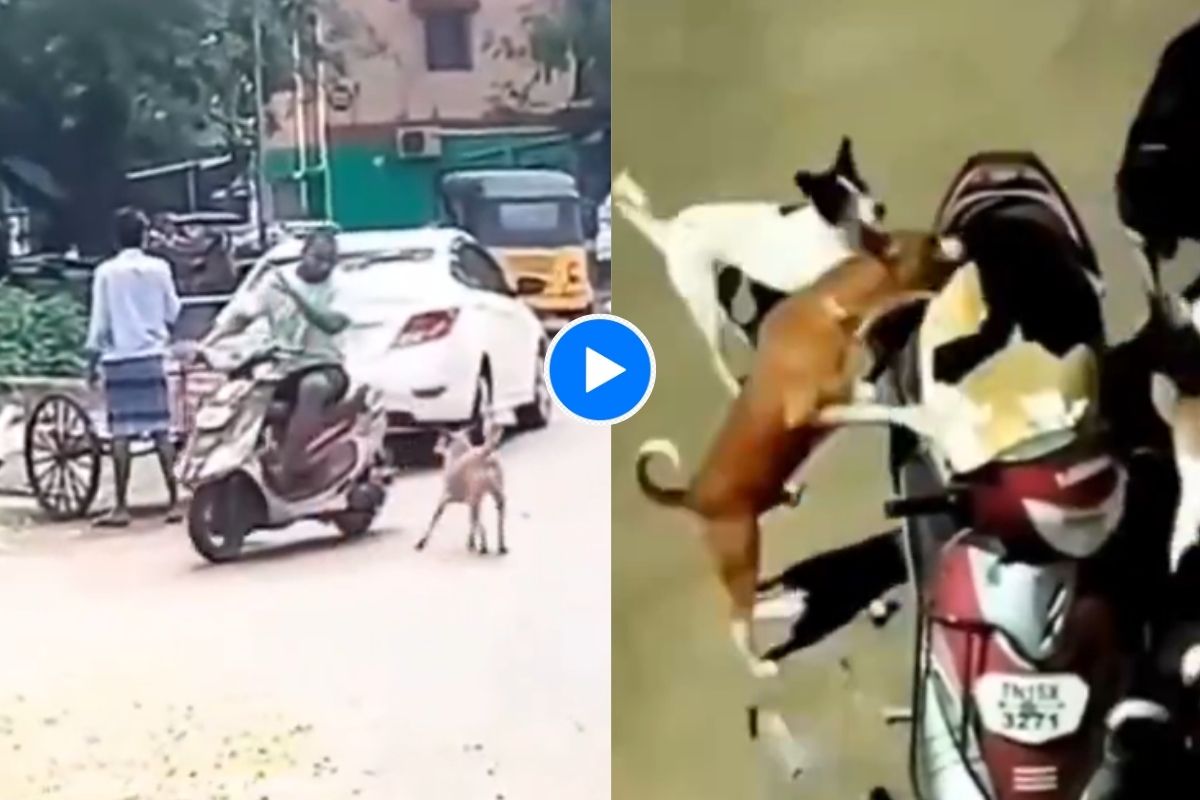 Video Viral