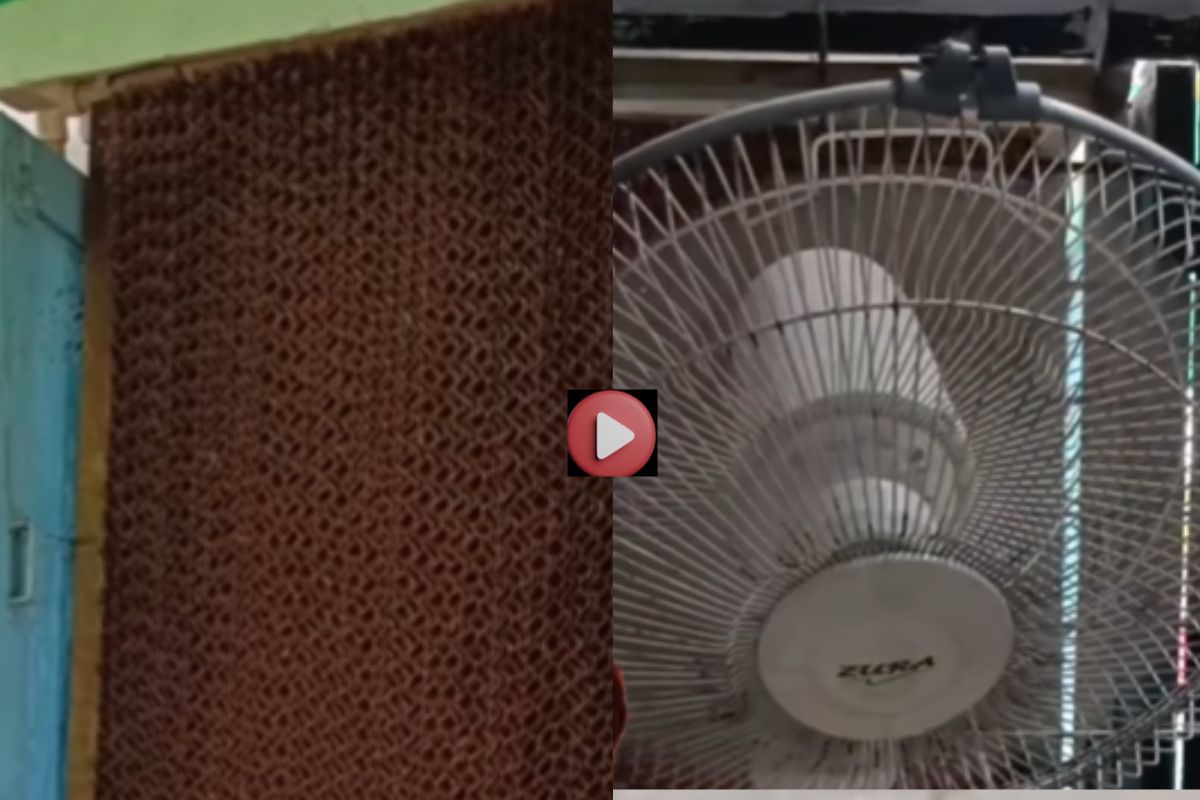 Viral Video