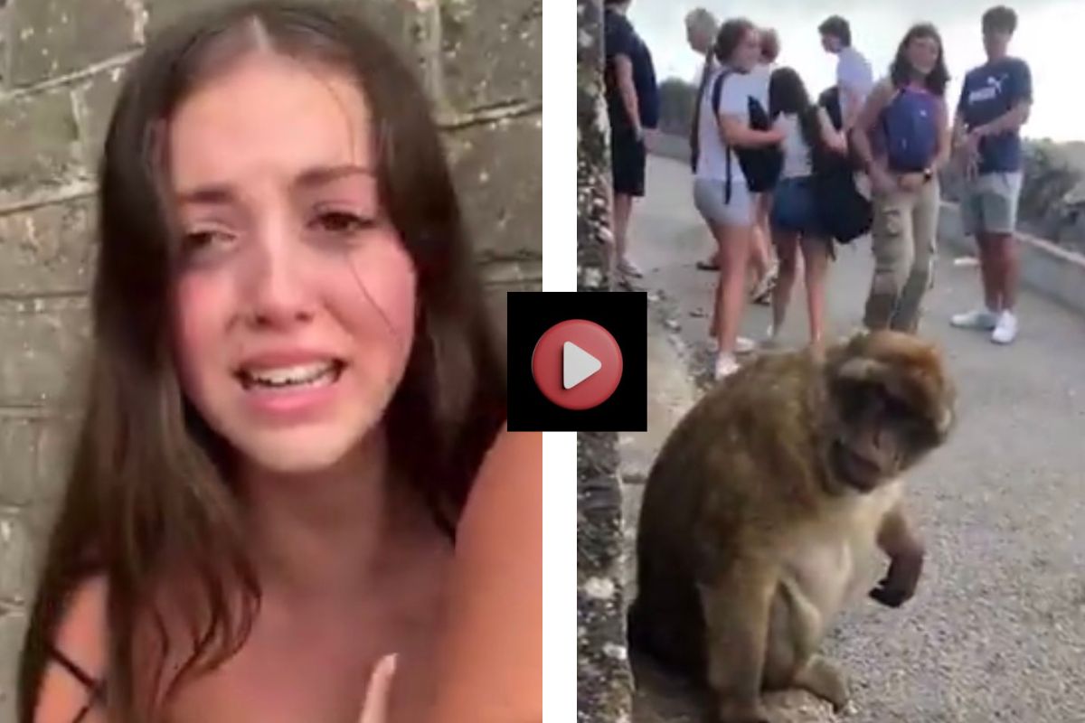 Viral Video