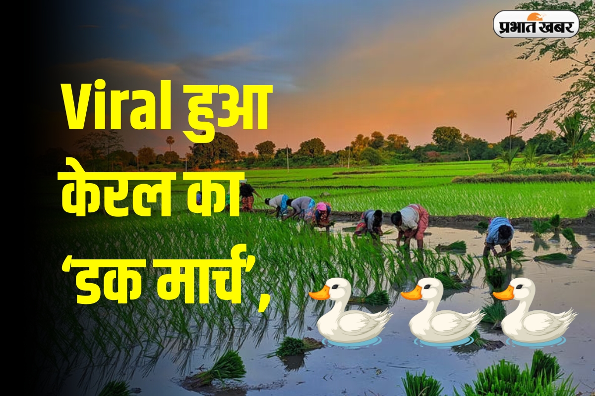 Viral Video