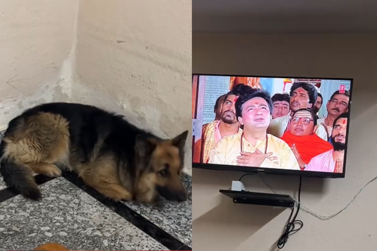 Viral Video