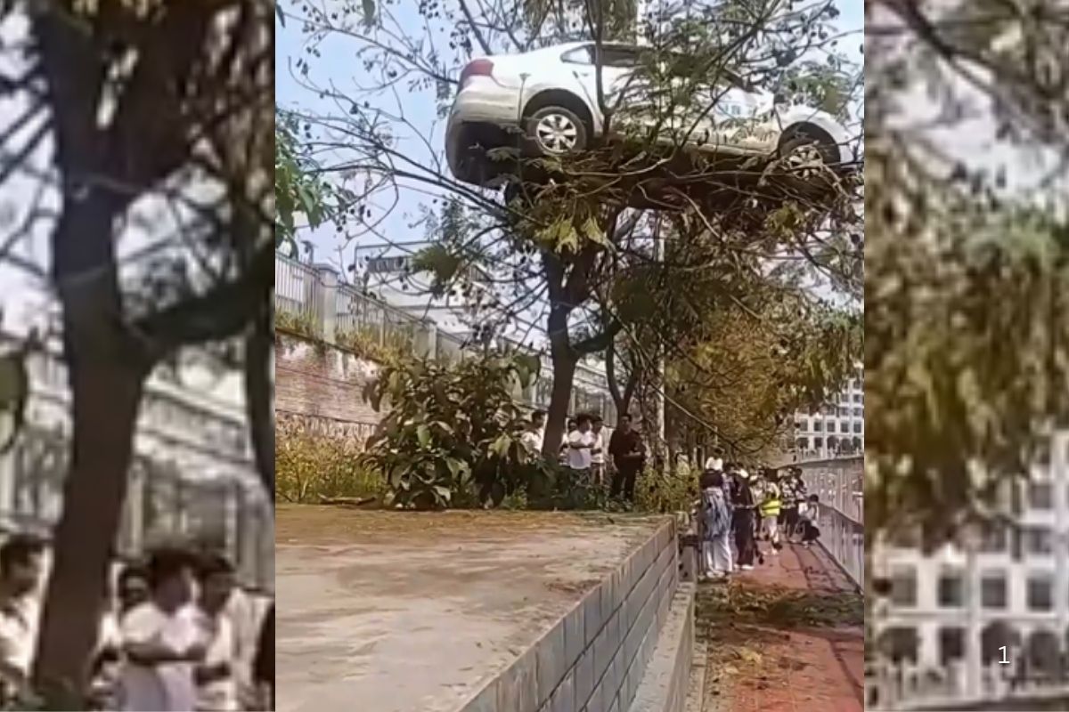 Viral Video