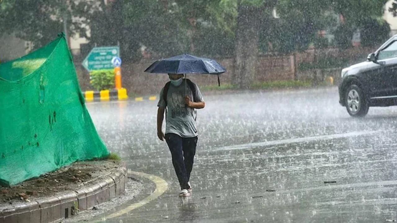 rain alert