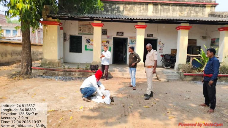 घायल बंदर का रेस्क्यू कर कराया गया इलाज