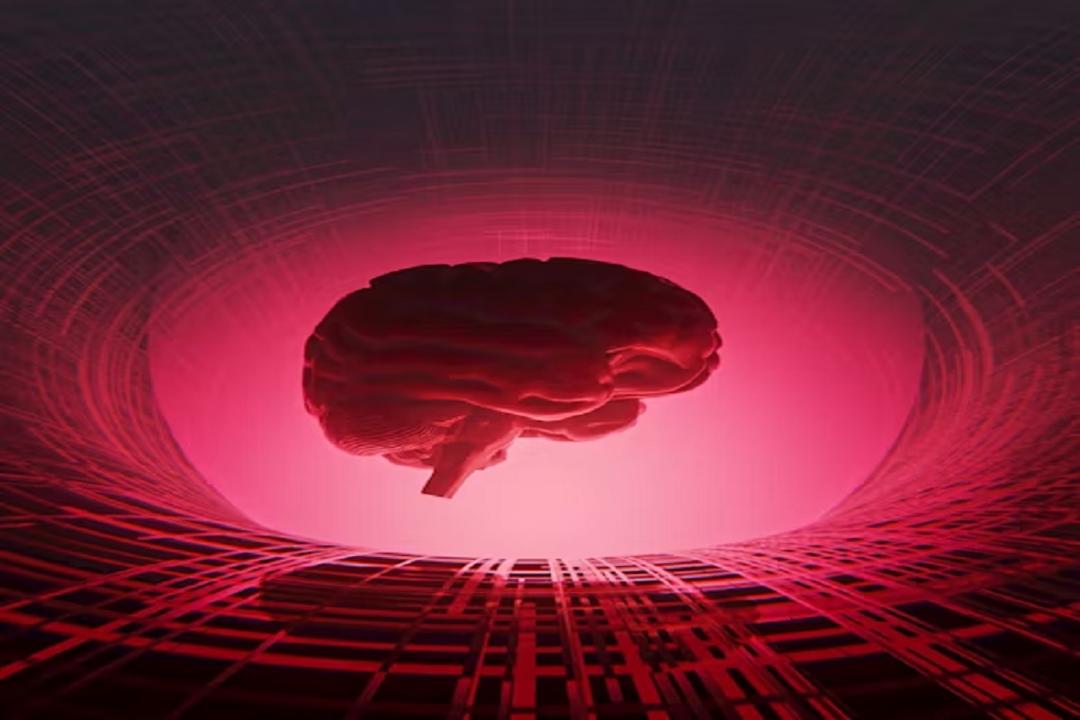 human brain