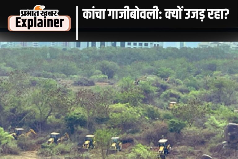 Hyderabad Forest News: जंगल बचाने के लिए चिपको से लेकर कांचा गाजीबोवली आंदोलन तक