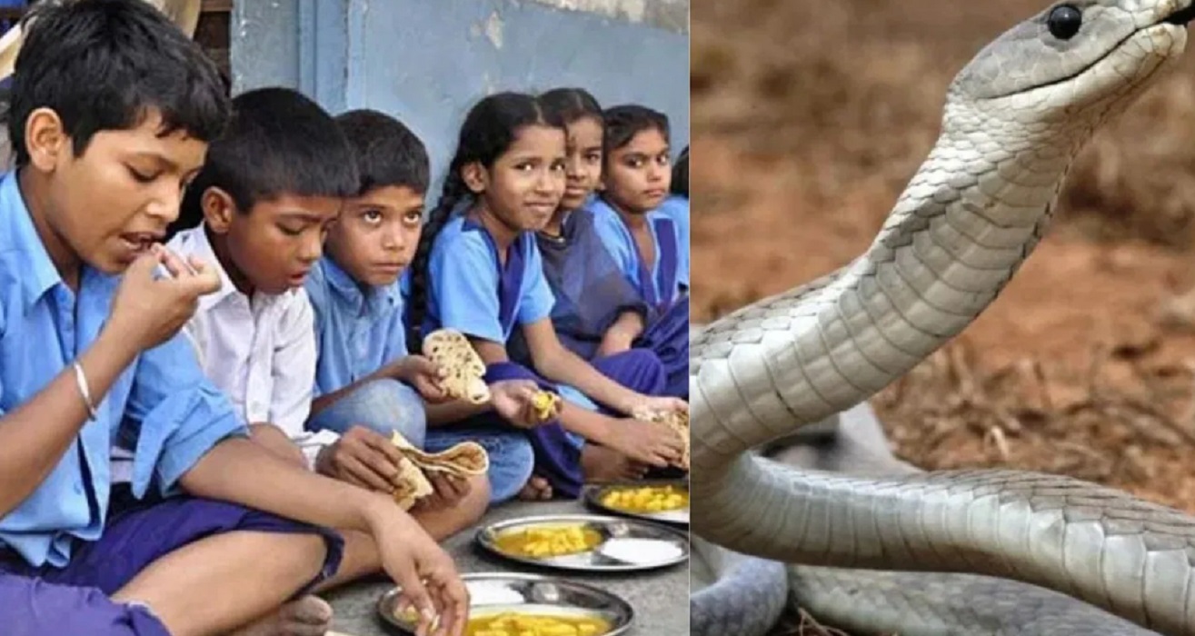 snake