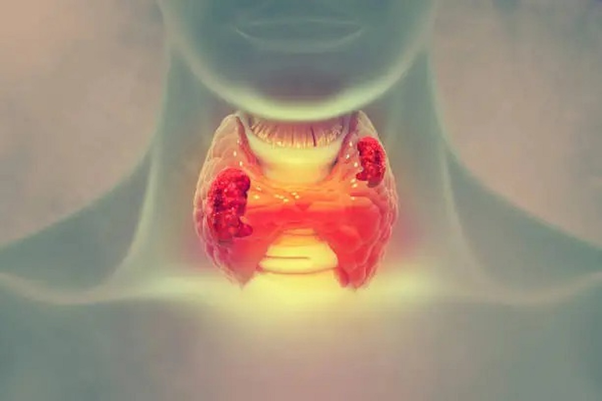 thyriod