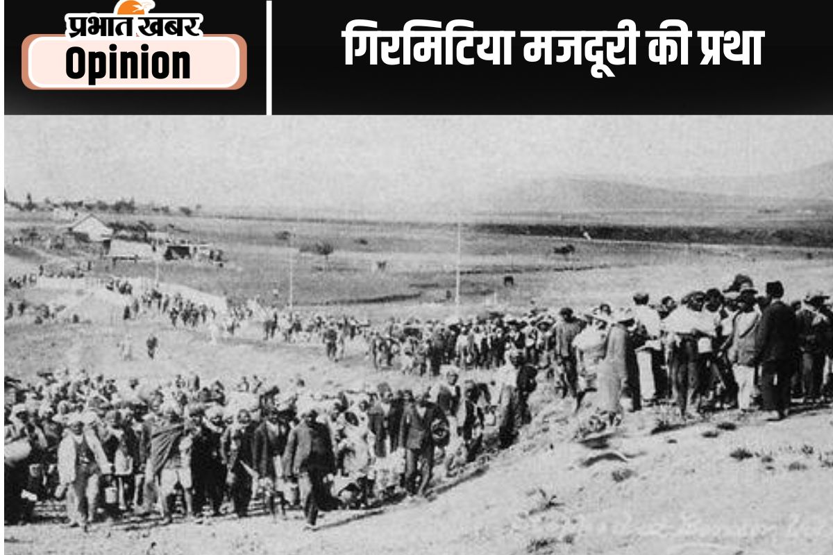 indentured labourers