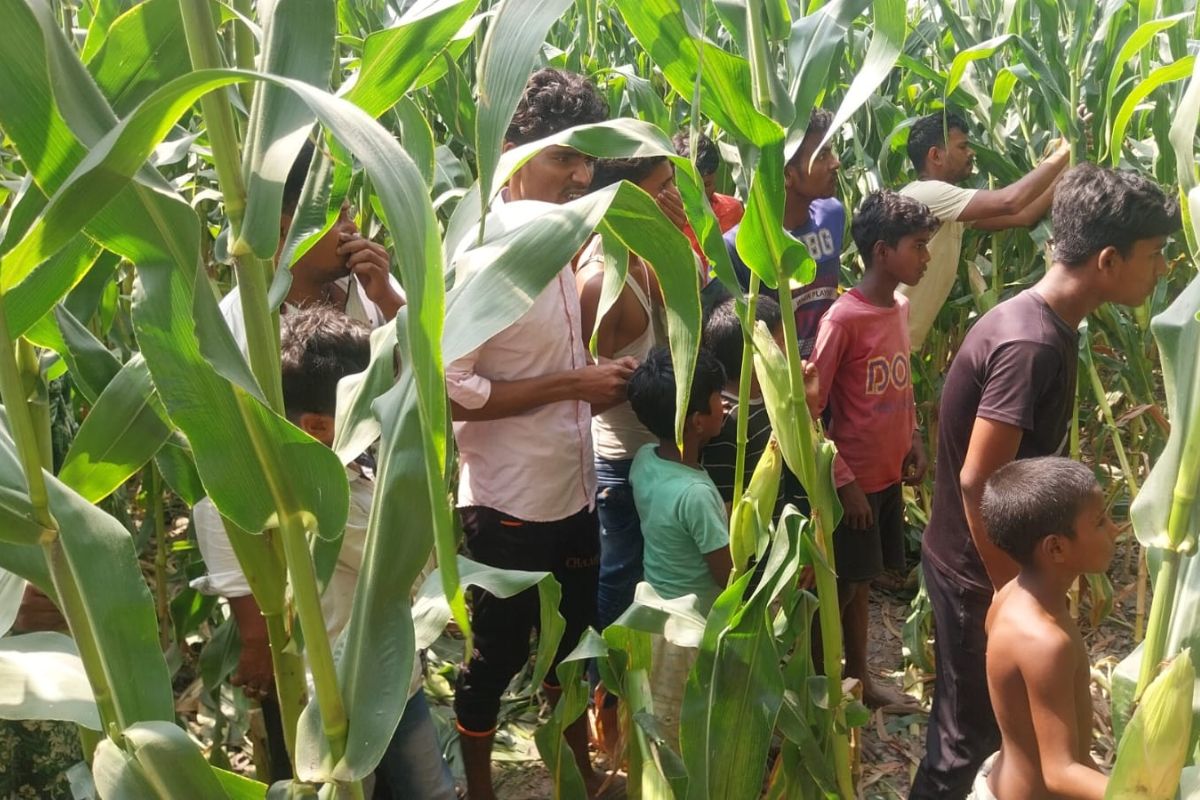 bihar crime news
