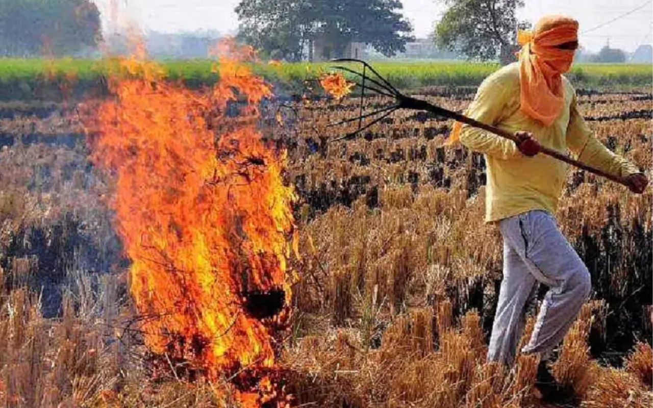 पराली जलाने पर कार्रवाई (सोशल मीडिया)