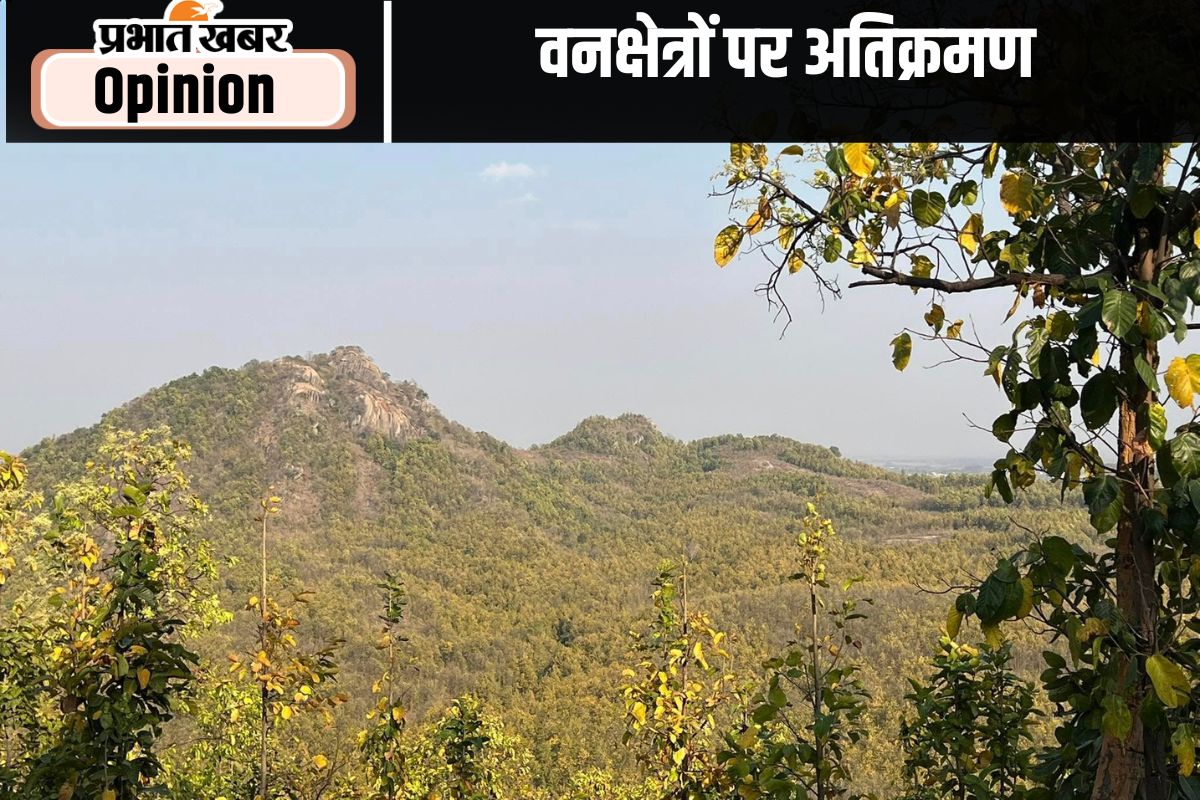 encroachment on forest areas