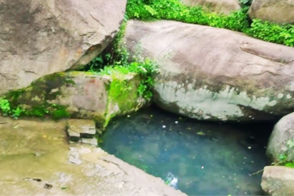 Amazing Fact Jharkhand Nirjhar Palkot Pampapur Gumla