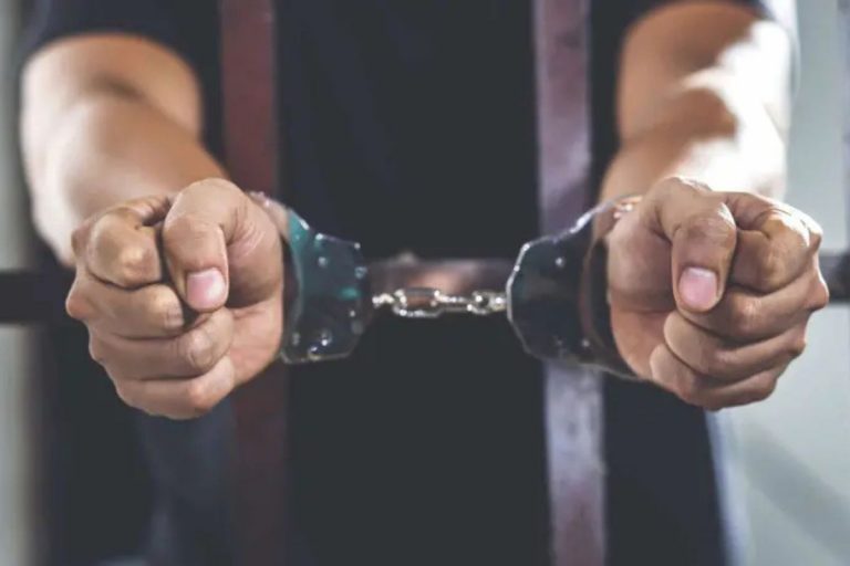 प्रतिबंधित संगठन के समर्थन में आपत्तिजनक पोस्ट करने पर नाबालिग गिरफ्तार, बाल सुधार गृह भेजा गया