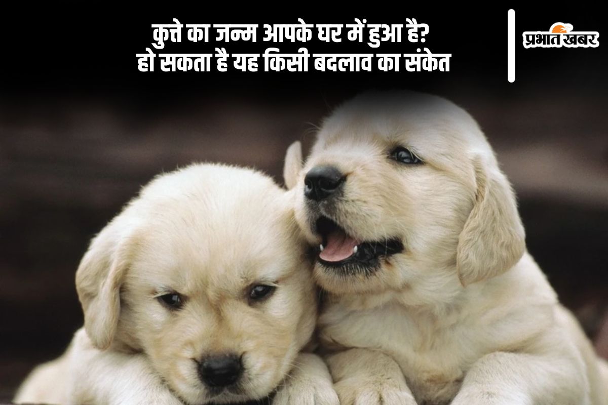 Astro Tips of dog birth at home