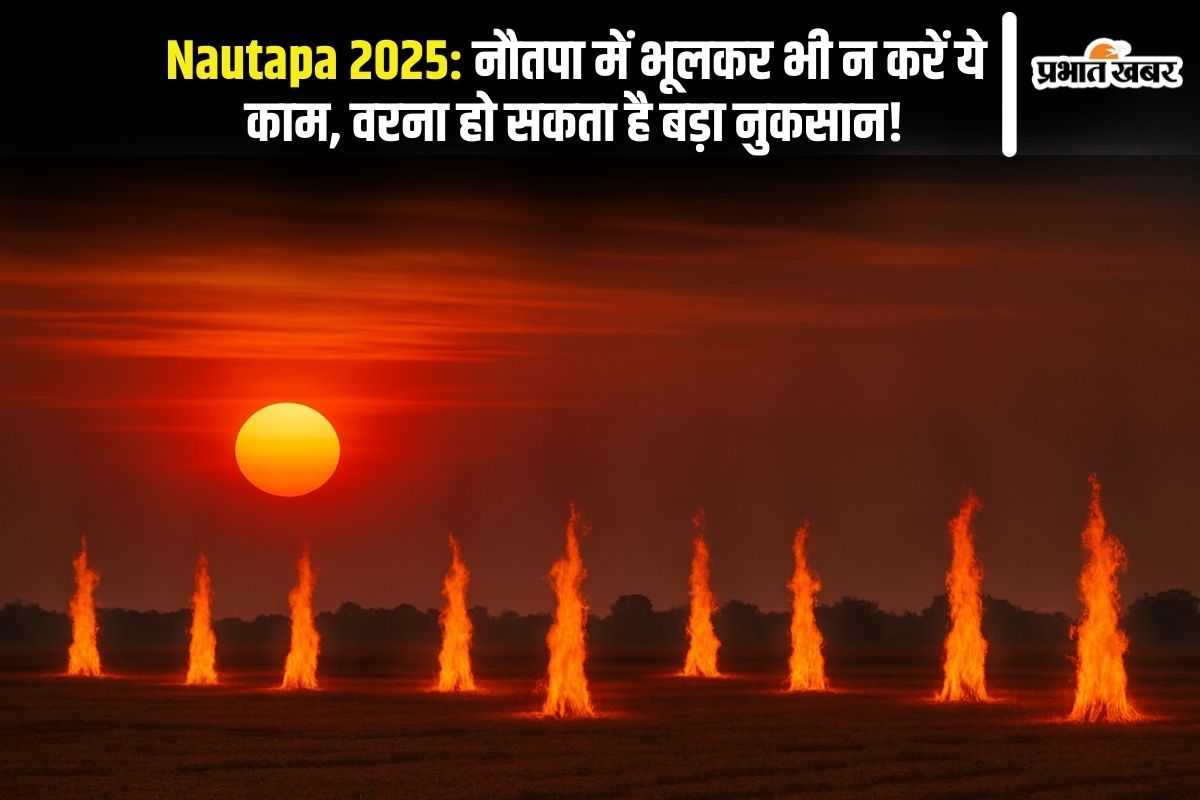 nautapa