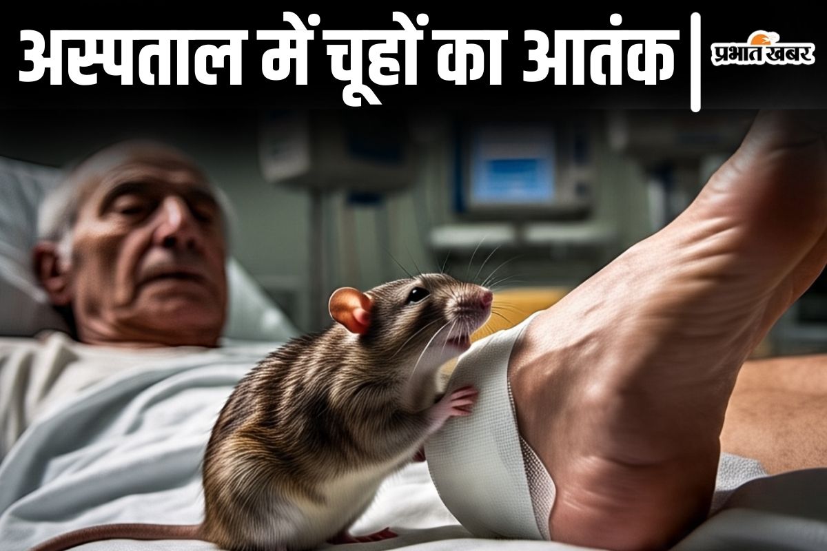nmch rat news