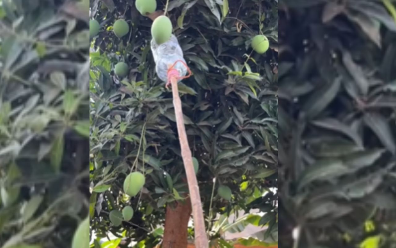 Desi Jugaad Viral Video