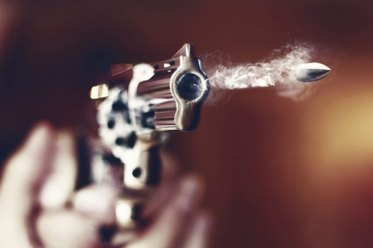 Bihar: थिरक रही थी डांसर… तभी चली गोली! बिहार की बारात में नाच के बीच हुआ खूनी कांड