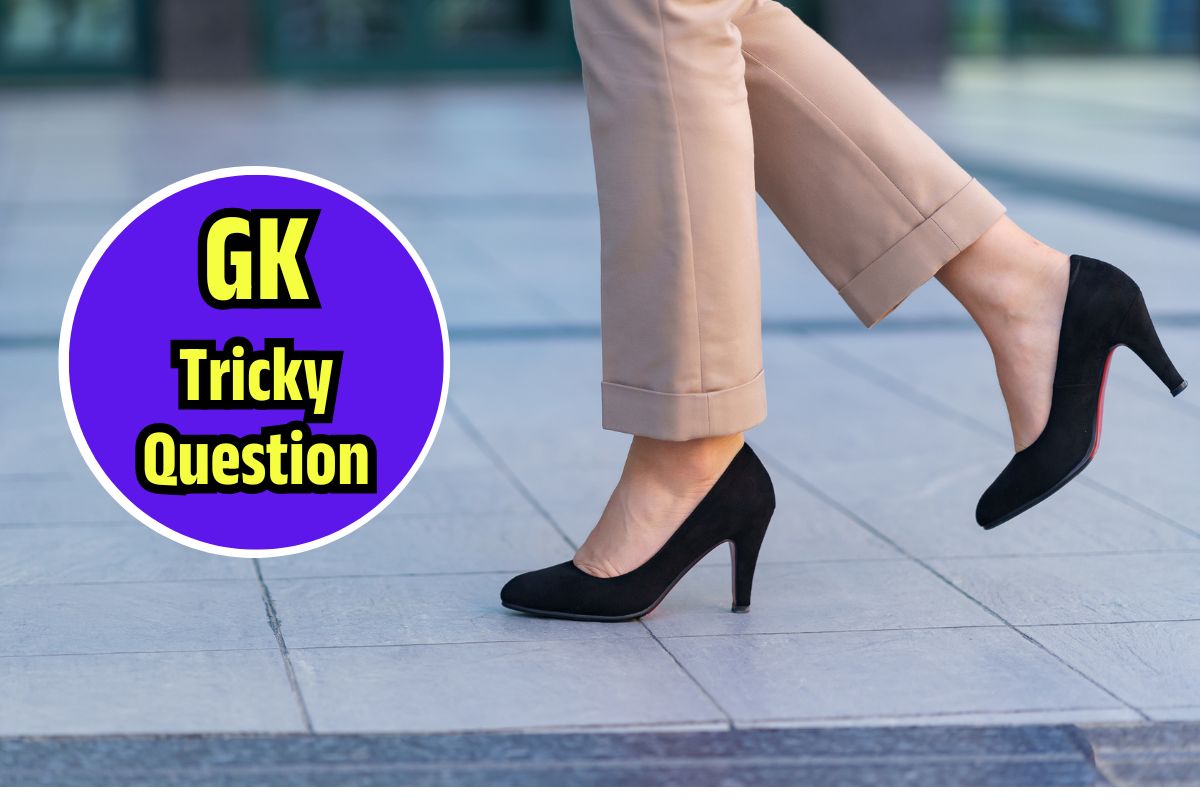 General Knowledge