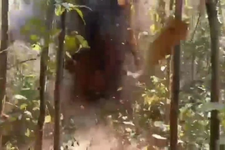 सारंडा में नक्सली हमला, IED ब्लास्ट में एक जवान घायल, रांची एयरलिफ्ट करने की तैयारी