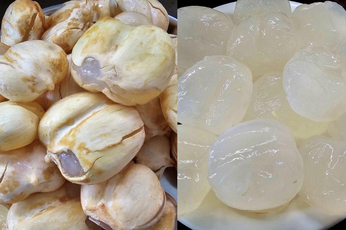 Ice Apple