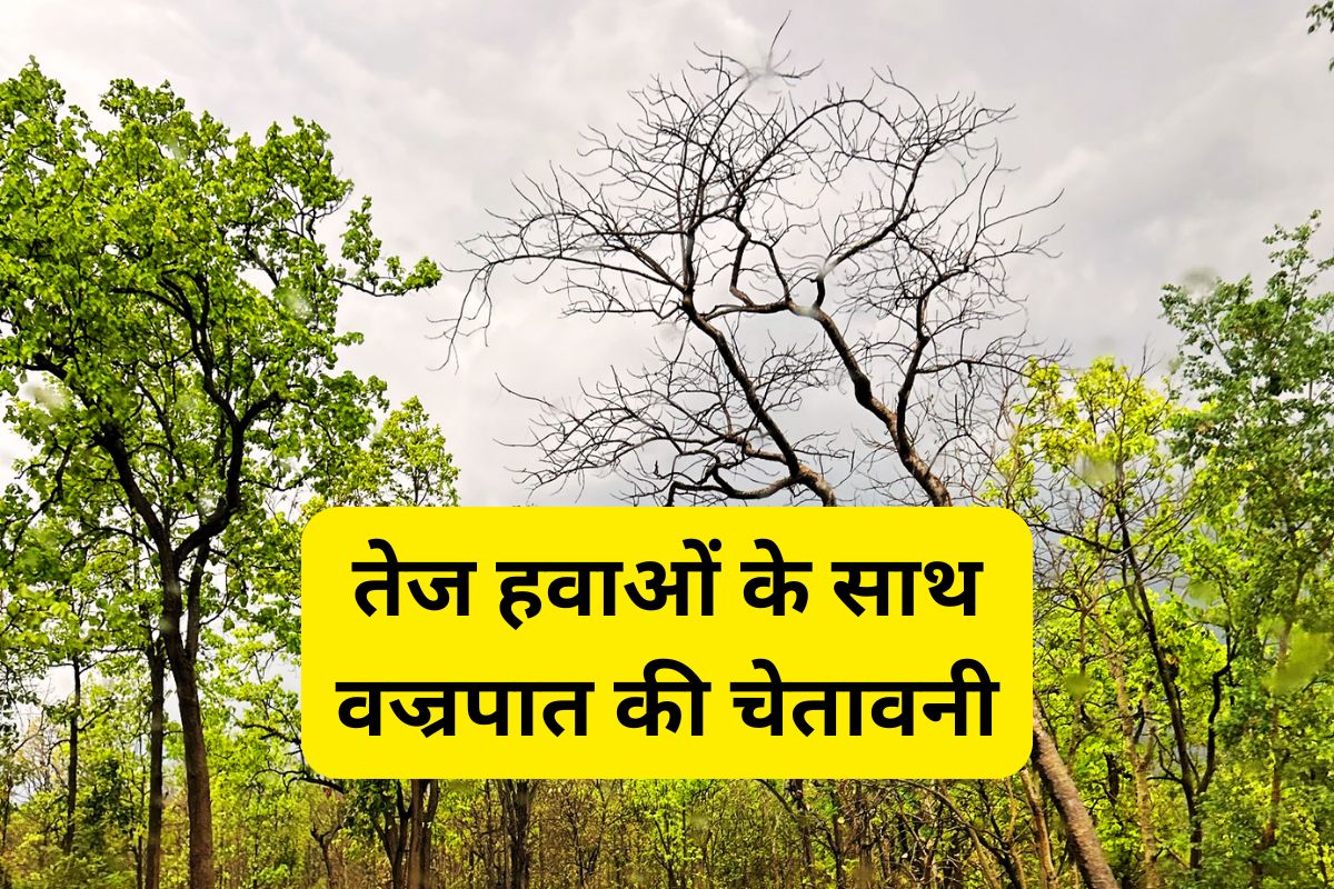 Kal Ka Mausam Thunderstorm with strong winds in Jharkhand