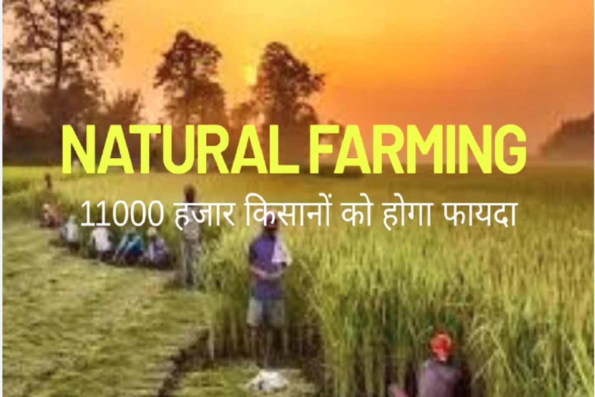 Natural Farming