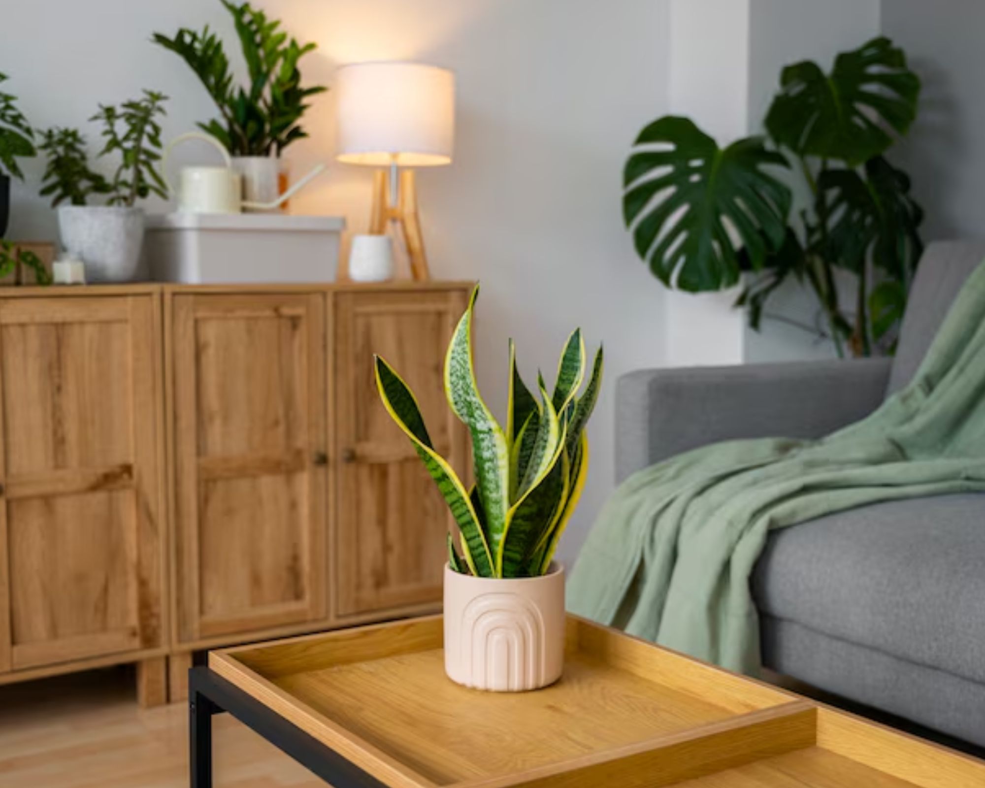 Budget Home Decor Ideas