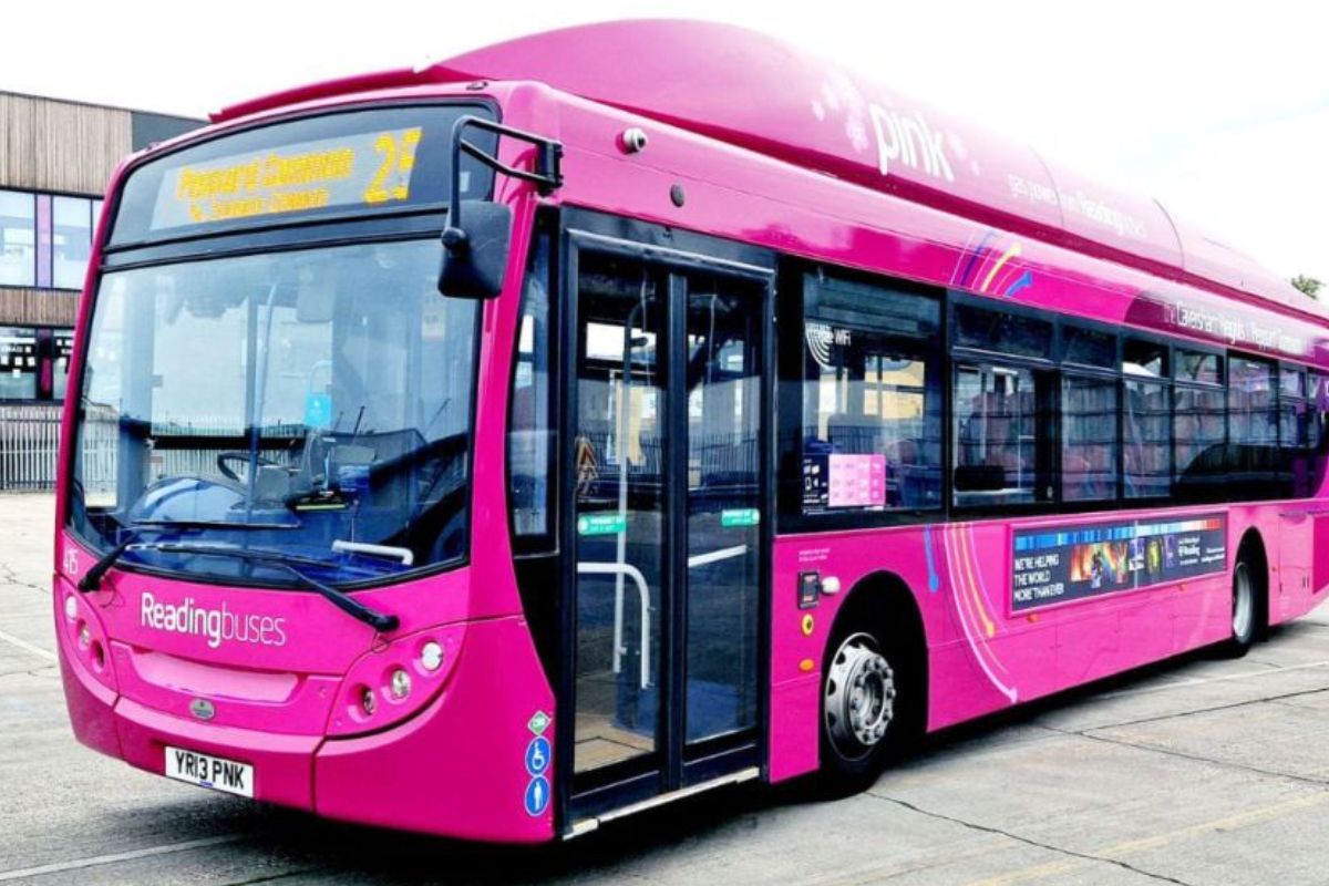 Patna Pink Bus