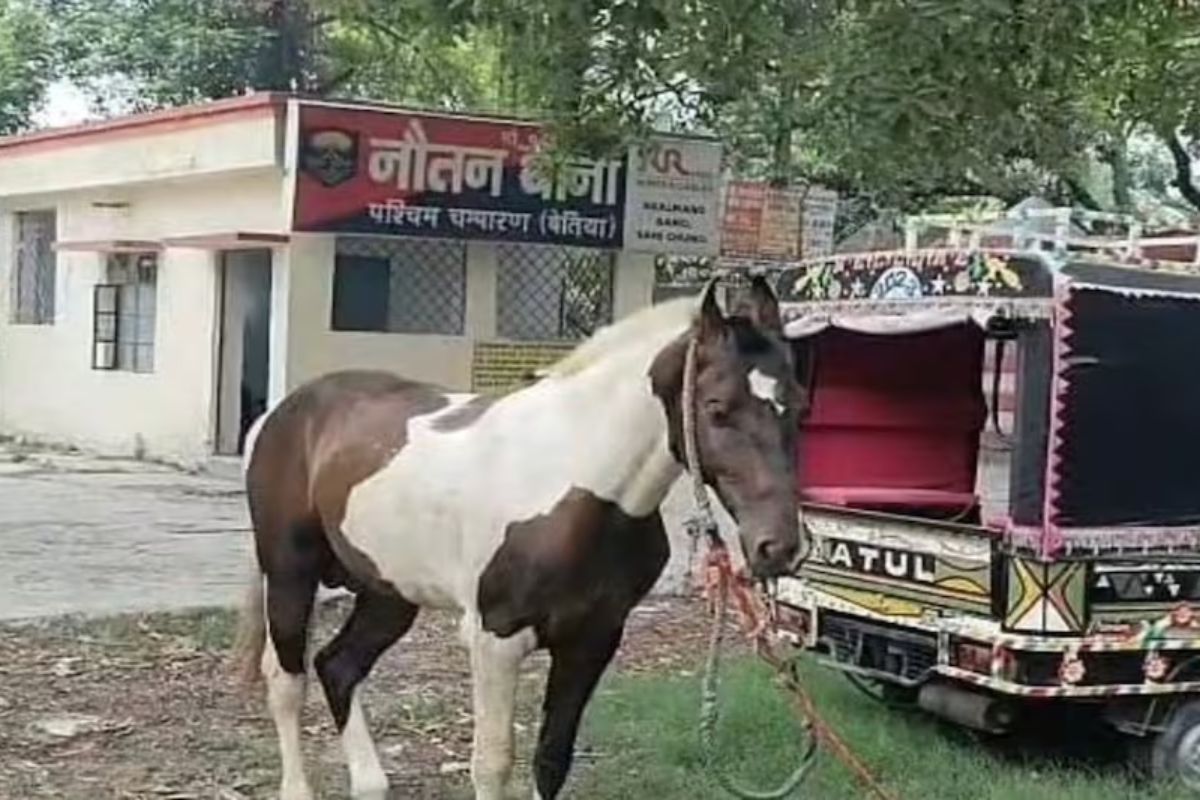 शराब तस्करी के आरोप में थाने में खड़ा घोड़ा