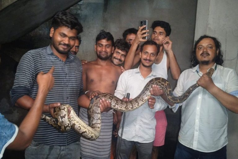 Dhanbad News: मजदूरों के क्वार्टर में घुसा विशालकाय अजगर