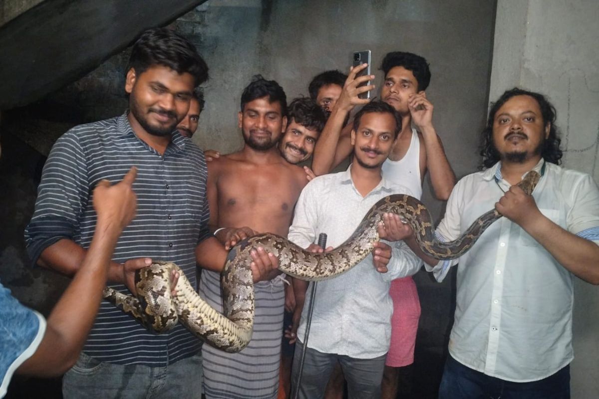 Python in Dhanbad