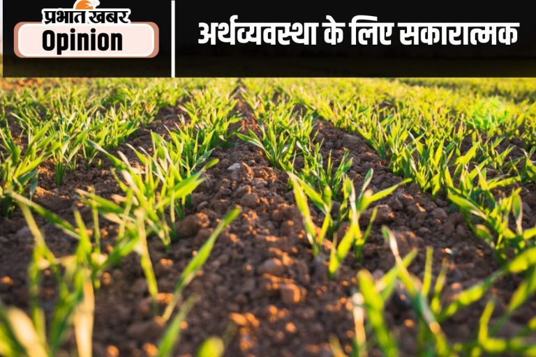 रिकॉर्ड खाद्यान्न उत्पादन