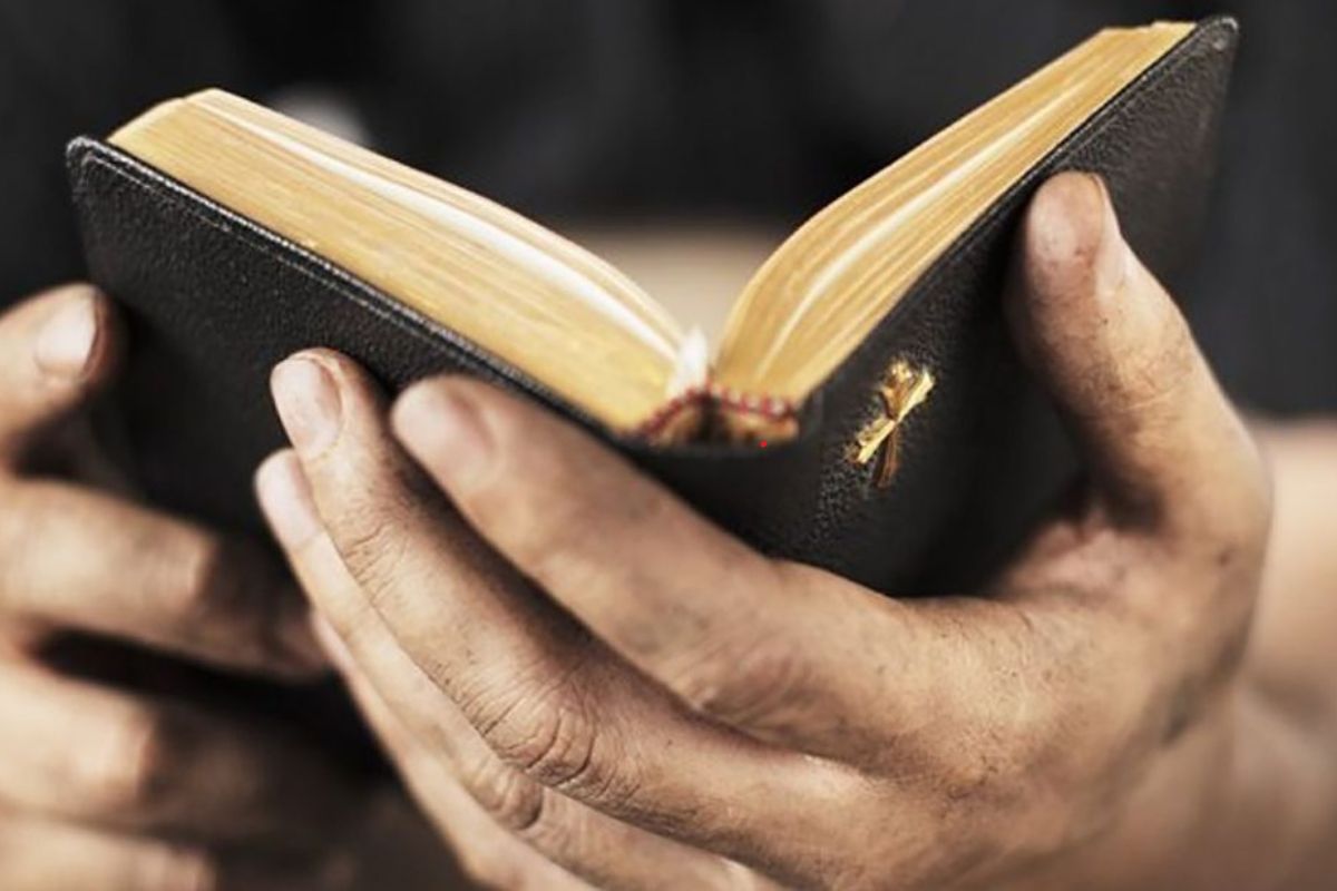 Bible Quotes