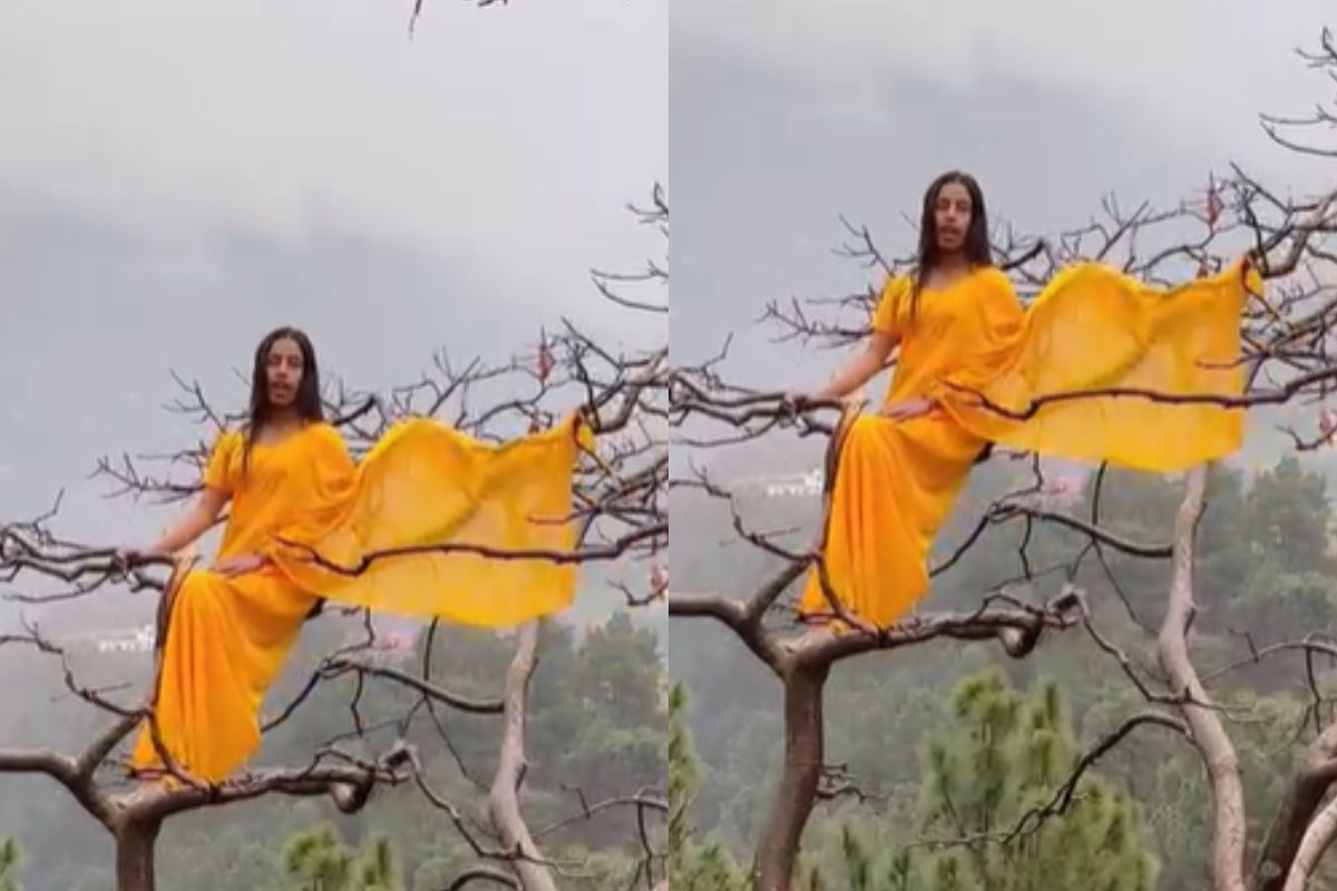 Viral Video girl sit on tree branch and claim herself queen of tree