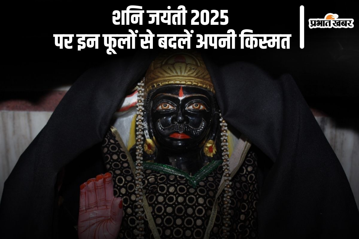Shani Jayanti 2025 Upay
