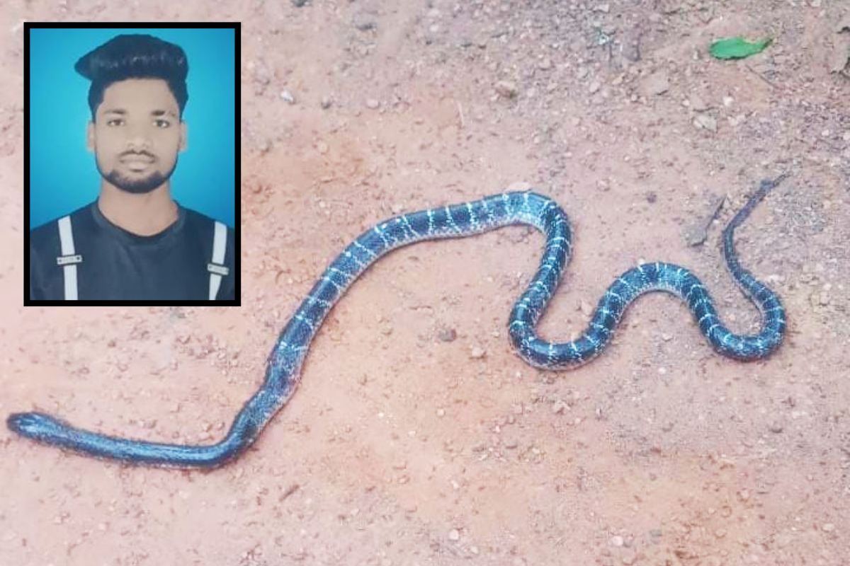 Snake Bite News Tentultand Kharsawan