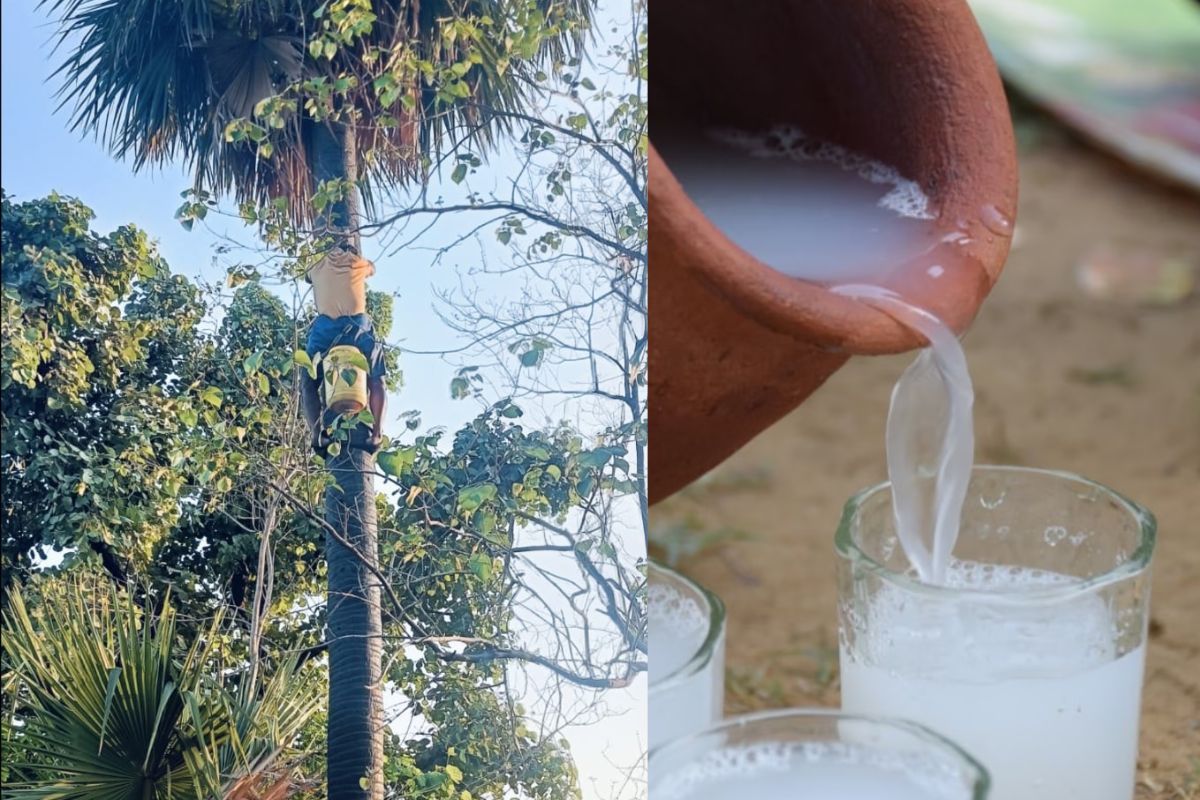 Taadi Drink