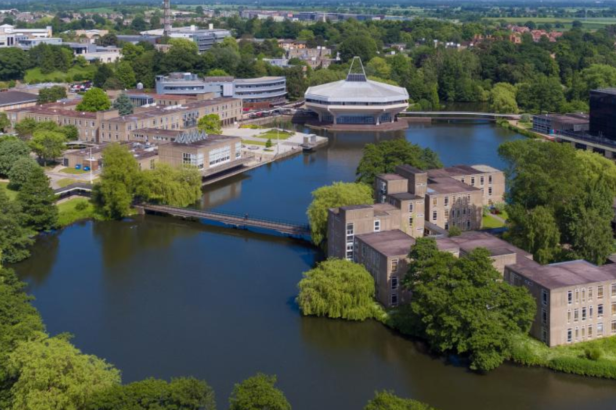 University Of York