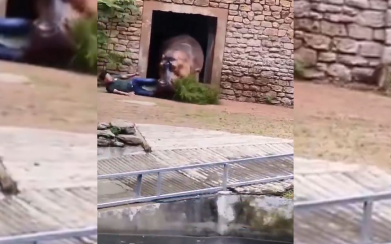 Viral Video