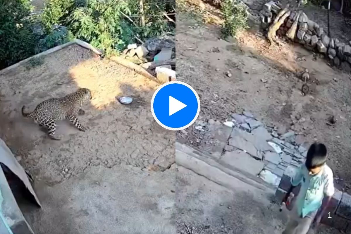 Viral Video