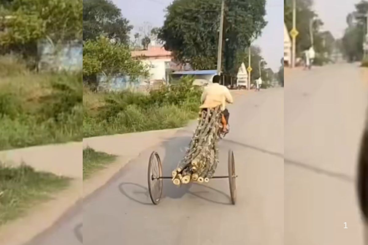 Viral Video