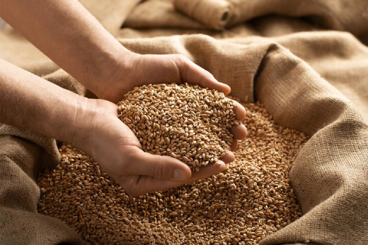 Wheat Stock Limit
