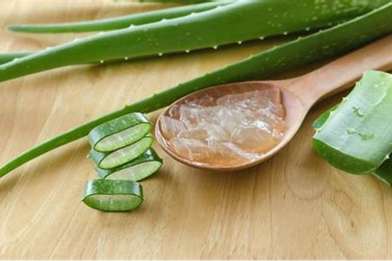 Aloe vera Gel Benefits In Summer: गर्मियों में एलोवेरा जेल से पाएं ठंडक और ग्लो, जानें 5 कमाल के फायदे