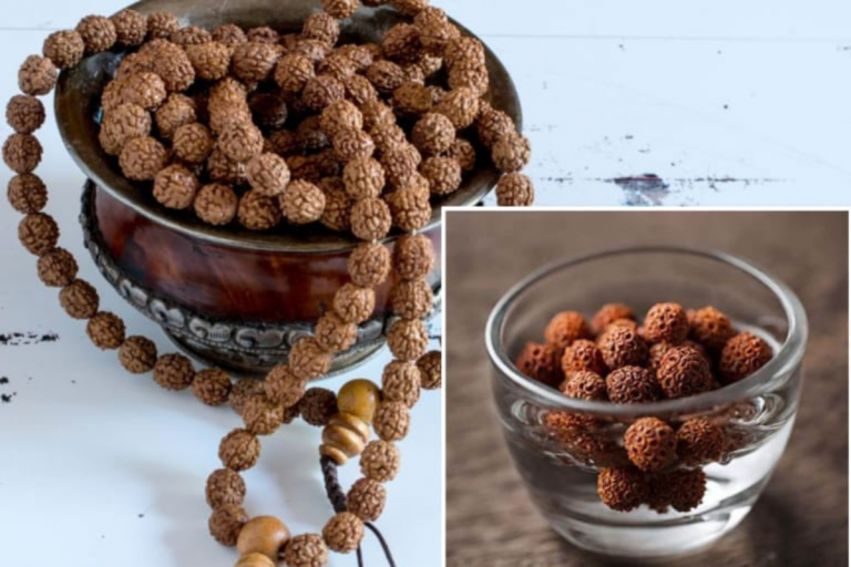 Drinking Rudraksha Water: रुद्राक्ष का पानी पीने से होते हैं चमत्कारी फायदे, जानें कैसे करें इस्तेमाल