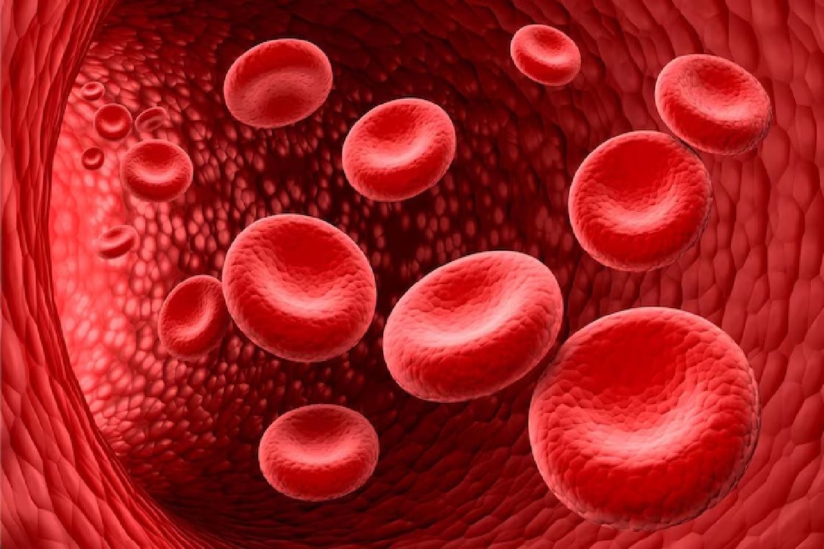 blood cell