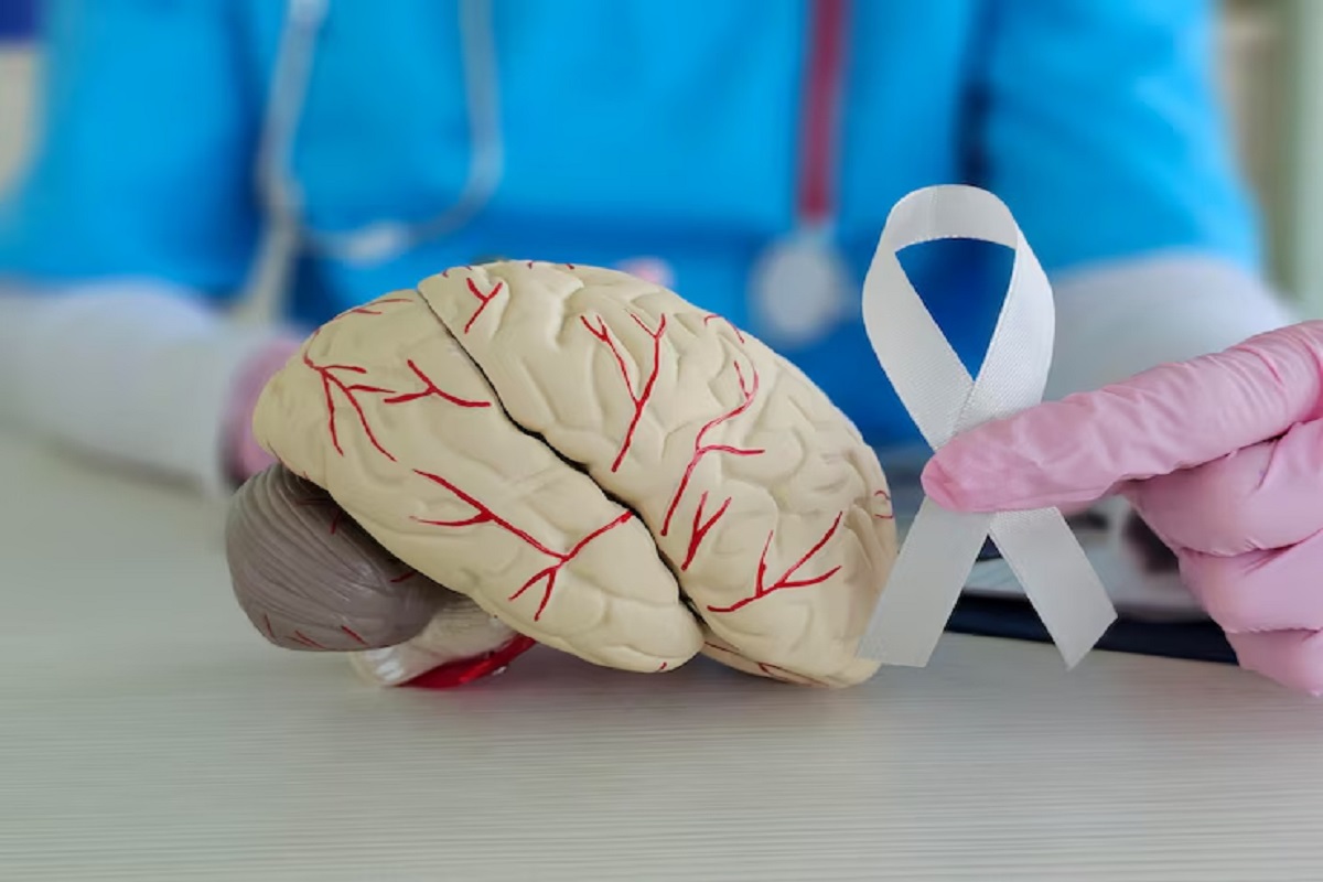 brain